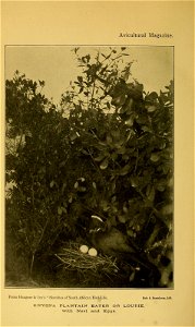 n397_w1150