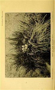 n375_w1150