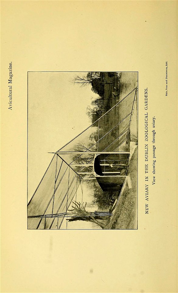 n215_w1150