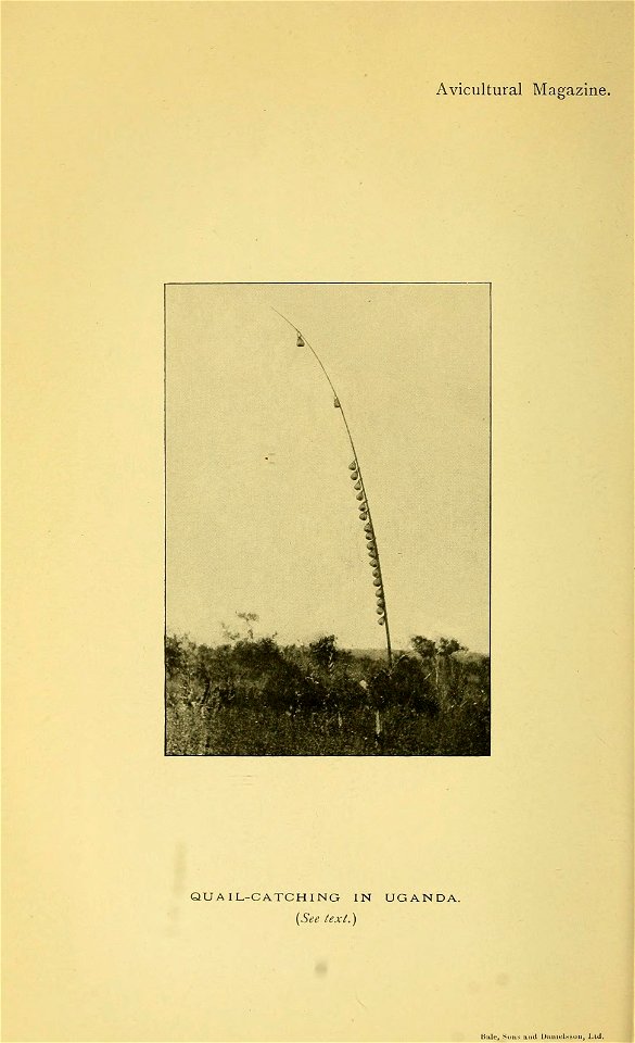 n161_w1150