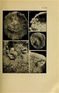 n192_w1150