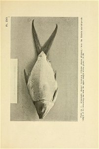 n264_w1150