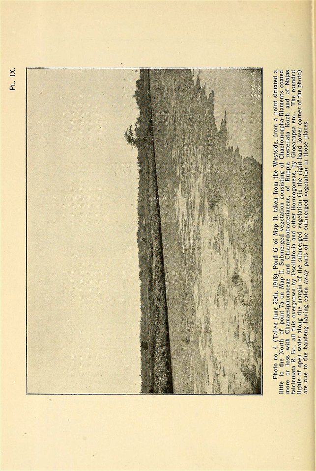 n211_w1150