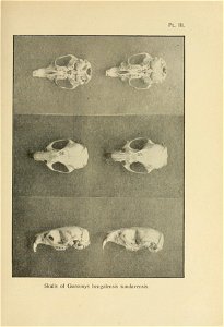 n134_w1150