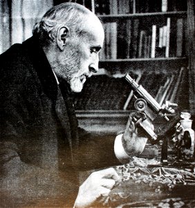 "Ramón y Cajal" photo