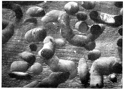 Scan792-3
