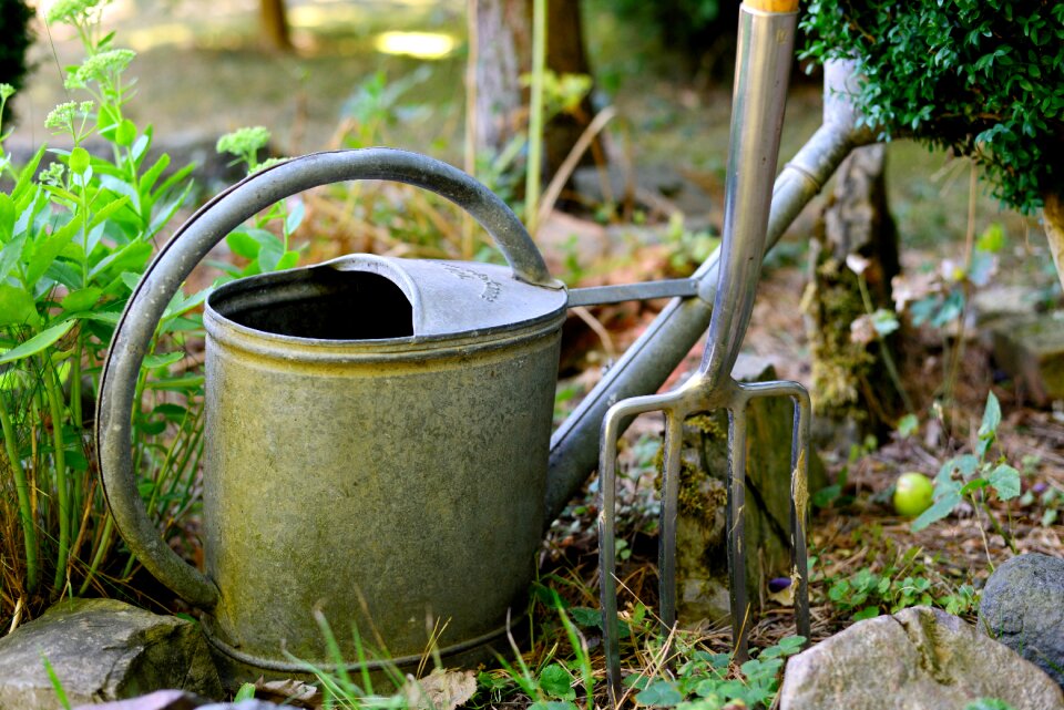 Garden environment nature