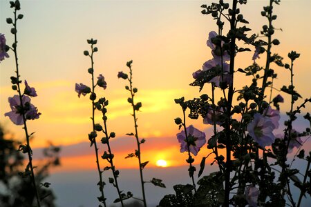 Nature solar horizon