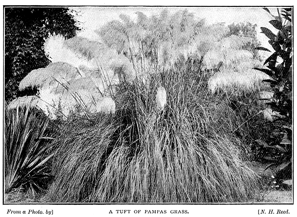 Scan617-1