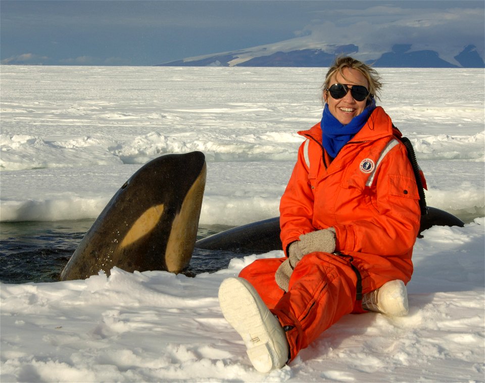 For several years, Bob Pitman, a marine ecologist at NOAA's Southwest Fisheries Science Center, has been conducting research with NOAA's National Marine Fisheries Service and other colleagues with the