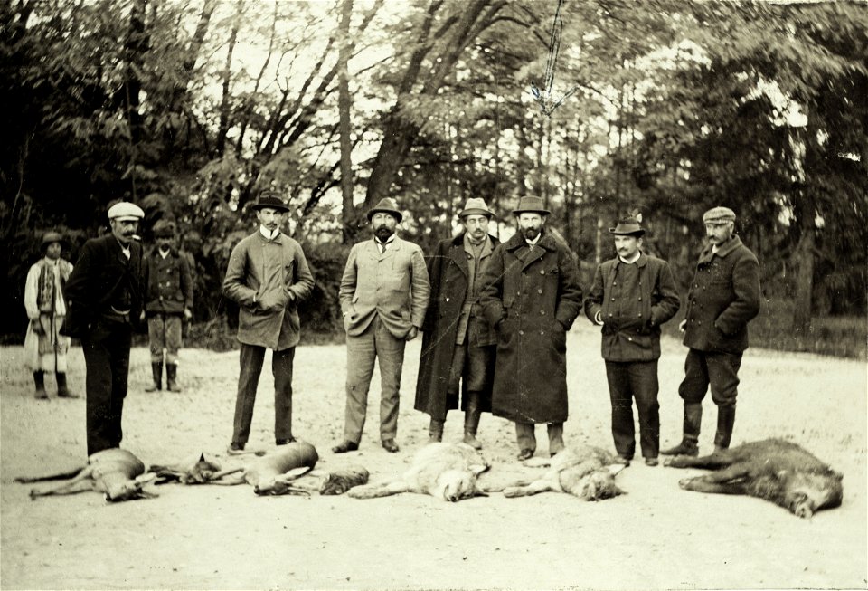 vadásztársaság gróf Königsegg Lajos Arad megyei birtokán.
Location: Romania, Transylvania
Tags: hunting, place, wild boar
Title: vadásztársaság gróf Königsegg Lajos Arad megyei birtokán.