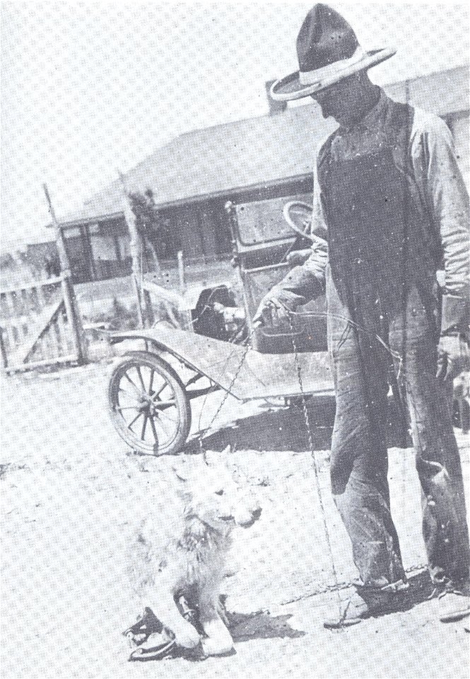 Old Three Toes, trapped on July 23, 1925, in the Kahoun pasture, near Gallup, South Dakota, by Clyde F. Briggs, the state deputy predatory animal inspector.
