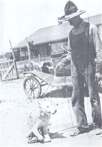 Old Three Toes, trapped on July 23, 1925, in the Kahoun pasture, near Gallup, South Dakota, by Clyde F. Briggs, the state deputy predatory animal inspector.