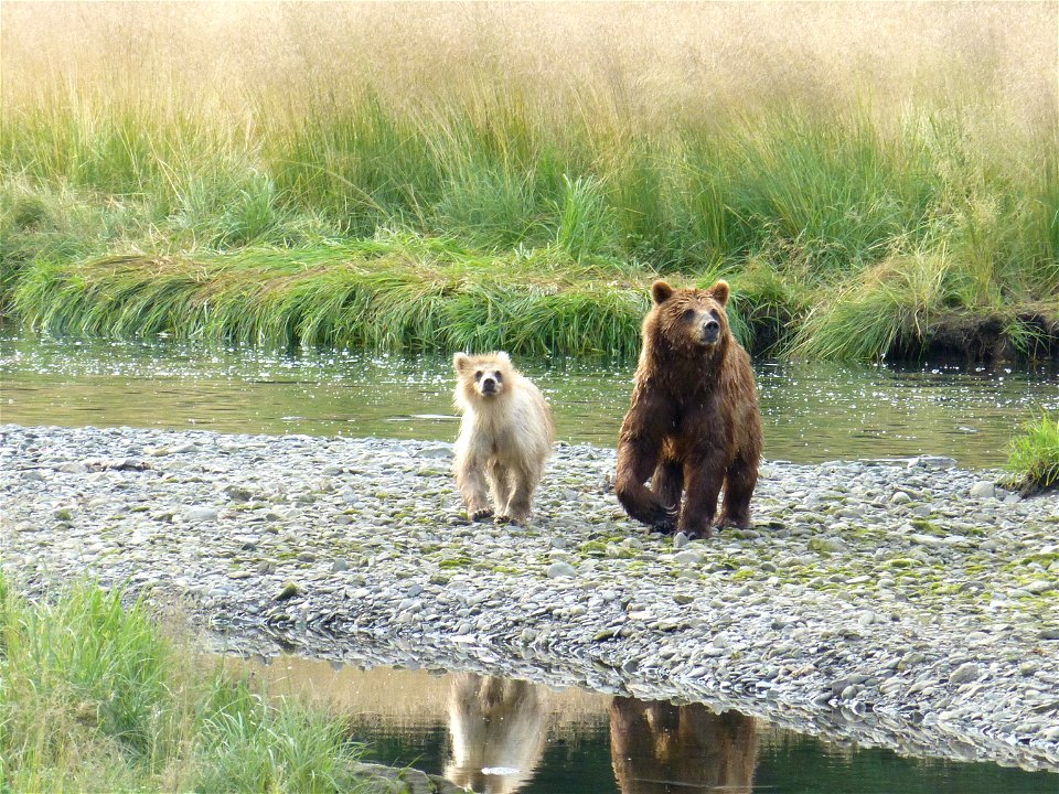 Kootznoowoo Wilderness, Admiralty Island, Tongass National Forest, Alaska. Forest Service photo by Don MacDougall.