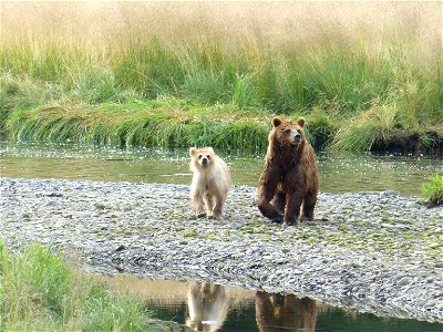Kootznoowoo Wilderness, Admiralty Island, Tongass National Forest, Alaska. Forest Service photo by Don MacDougall.