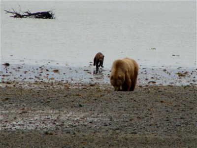 Photo: Corey A. Anco, USFWS

2011 Wilderness Fellow
