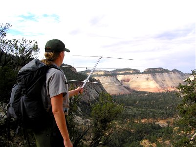 2007 Figure 4. Wildlife Technician Cassie Waters searching for a signal from a radio collared mountain lion at Zion National Park in August 2007.