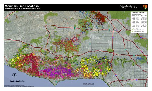 "This map reflects the GPS data points of lions P-1 through P-22, from the start of research in 2002 through December 2013. Each color represents a different mountain lion." - National Park Service photo