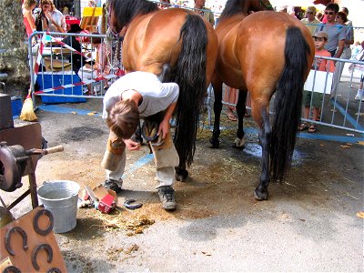 Beslaan van een paard. Eigen werk.