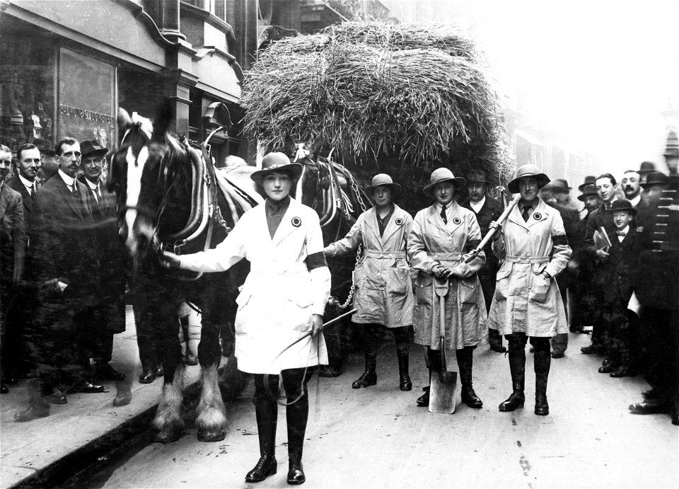 Agriculture in Britain during the First World War
Members of the Women's Land Army with a horse-drawn load of straw at the Lord Mayor's Show in London on 9 November of an unspecified year during the F