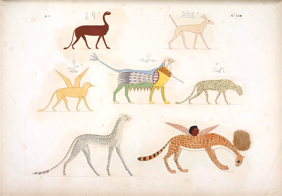 Animali fantastici.