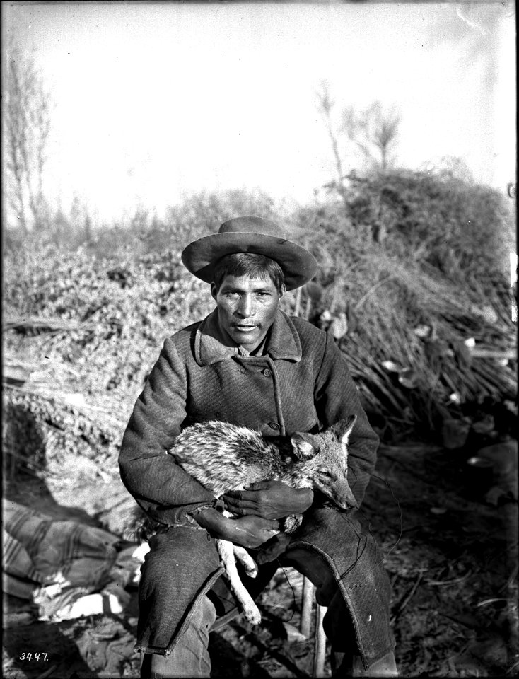 Young Chemehuevi Indian man holding a coyote, ca.1900
Photograph of a young Chemehuevi Indian holding a coyote, ca.1900. The coyote is held tightly in the man's arms and hands against the man'