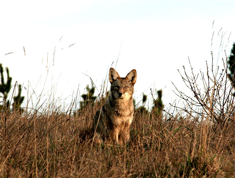 Employee submissions for 2015 photo contest. Photos taken from public land in Oregon and Washington.
