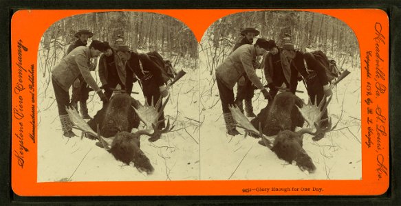 Glory enough for one day.  Moose hunting, Aroostock Co.