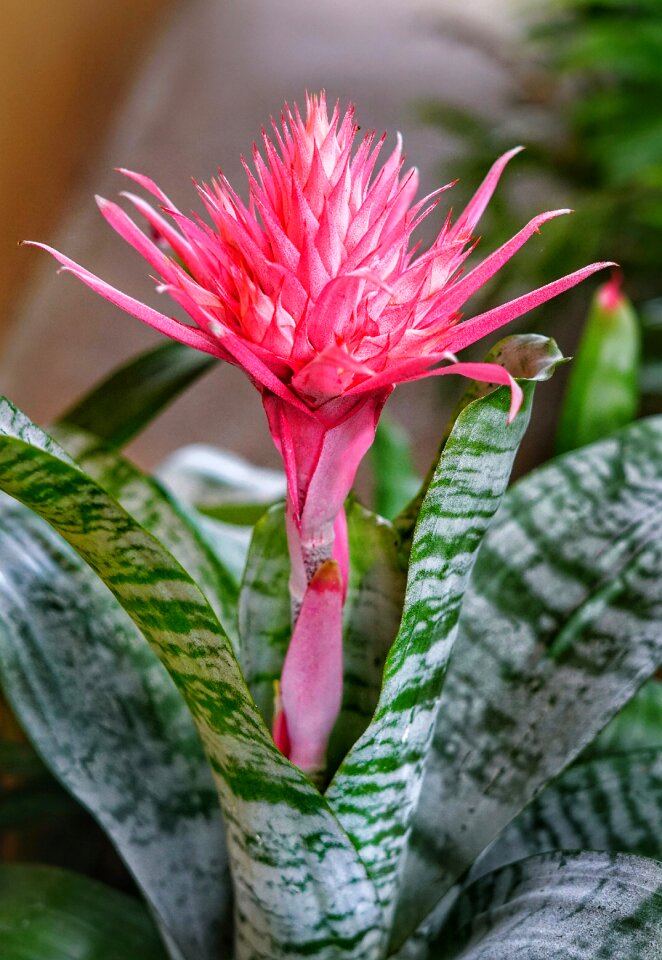 Tropical bright freshness