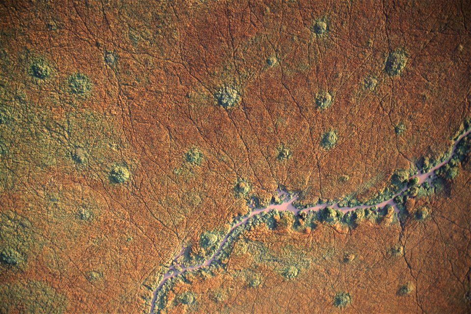 Hippo trails, seen from hot air balloon.  Taken on safari in Kenya on slide film.