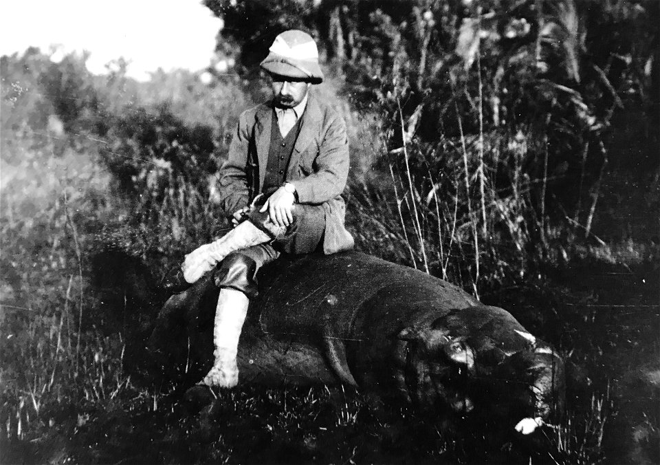 The 17th Duke of Medinaceli, Luis Fernández de Córdoba y Salabert posing with a harvested Hippopotamus during the 1908-1909 British East Africa Safari.