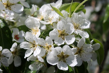 Sheet garden outdoors