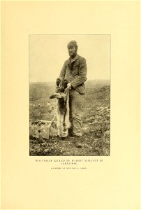 WOLVERINE KILLED BY ROBERT WALCOTT IN 
LABRADOR. 

COURTESY OF WILLIAM B. CABOT.