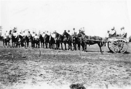 Dingo drive in Tara, 1930. photo