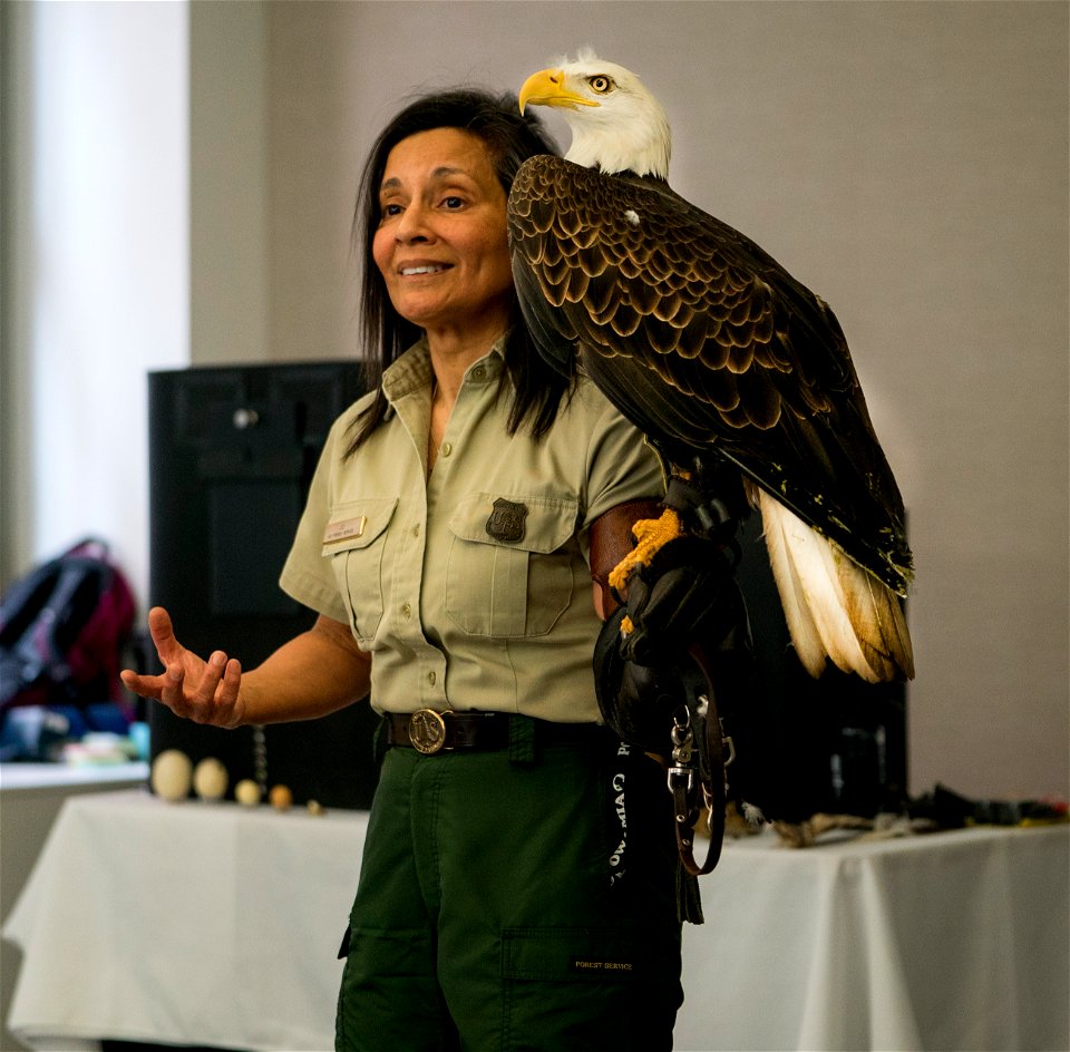 Jo Santiago, a wildlife biologist and a raptor rehabilitation specialist, handles Freedom, a bald eagle during a presentation in Washington D.C., April 24, 2019. (Forest Service photo by Tanya Flores)