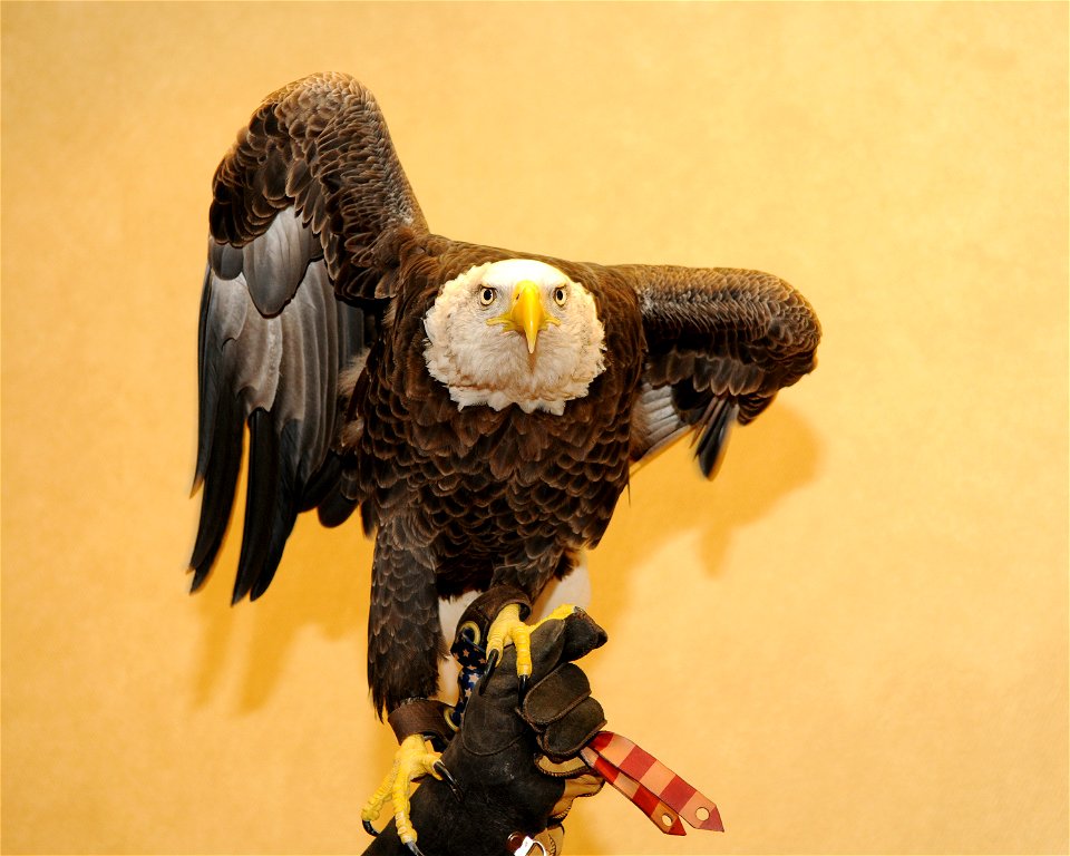 Photos by Garry Tucker, USFWS