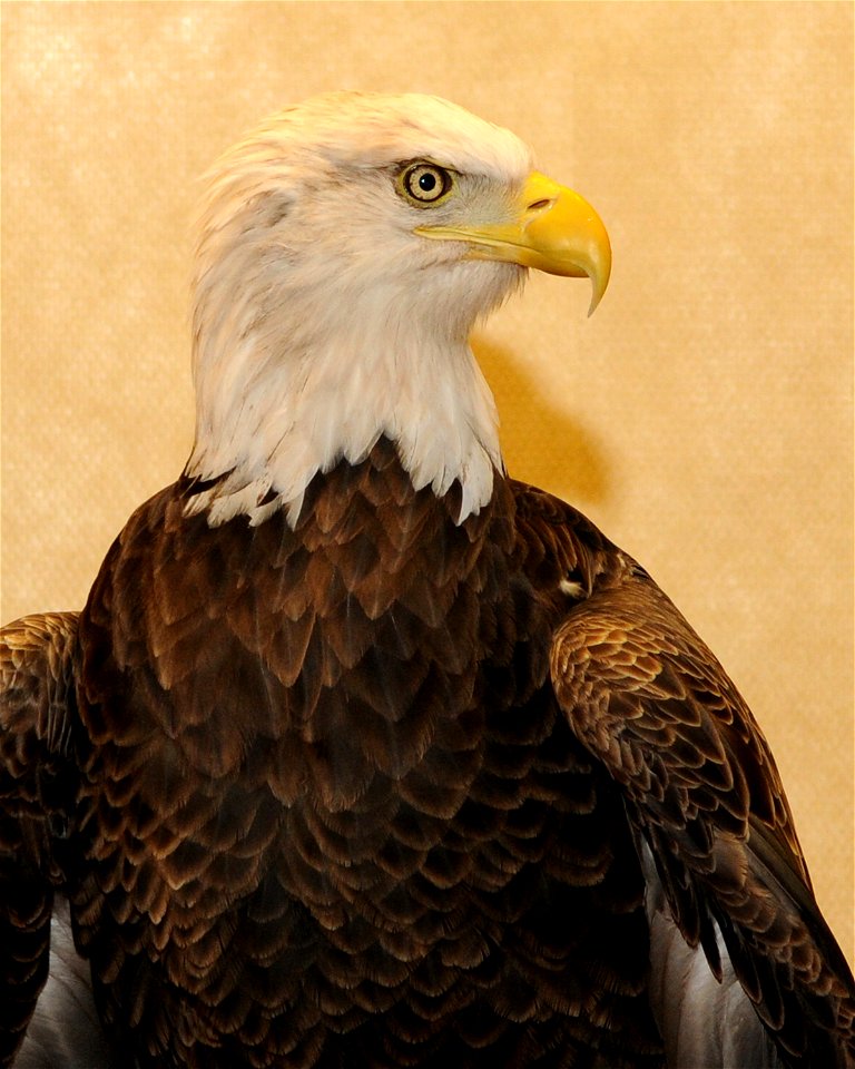 Photos by Garry Tucker, USFWS