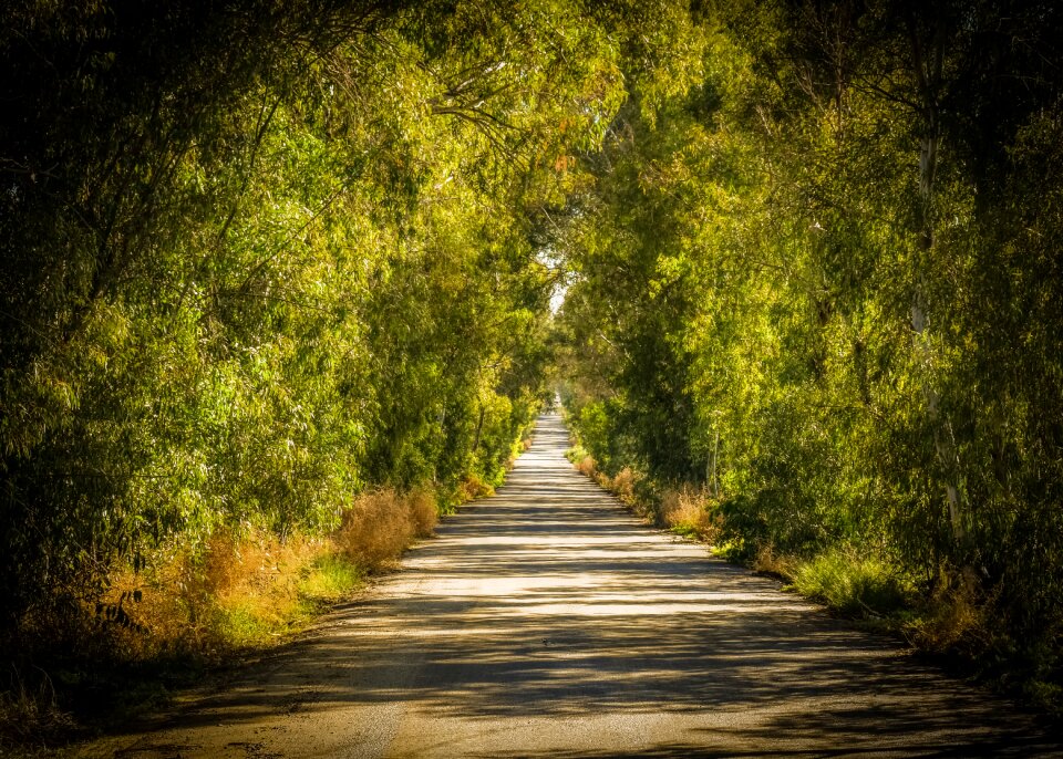Nature scenery menilko