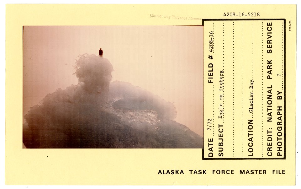 Eagle on iceberg