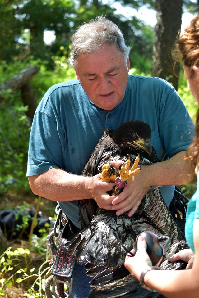 Credit: USFWS
