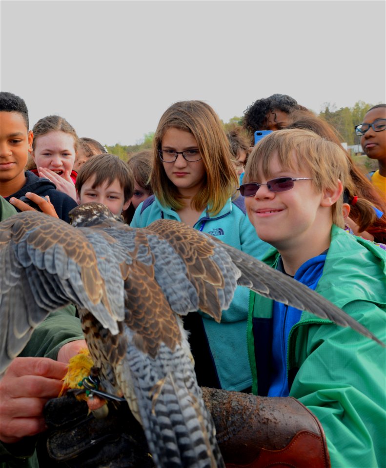 Gerhard Wagner, 86th Airlift Wing safety office falconer, assists a sixth-grade student from Ramstein Middle School with putting on a leather glove to hold and feed a peregrine falcon as a part of the