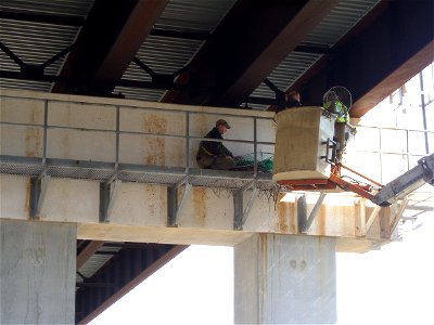 MassDOT crews and MassWildlife officials in late April converged on the I-190 bridge over the Quinapoxet River in Holden where ravens were nesting- and peregrine falcons were soon to join them.
The st