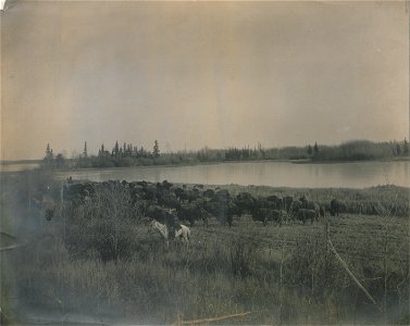 Original caption:  "Canada's monopoly."