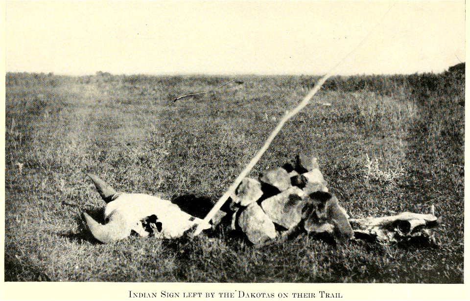 Sign left by the Lakota (Dakota) Indians during the Great Sioux War in 1876. Arikara Indian scouts with the U.S. Army thought the skull of the Buffalo bull represented the Lakotas and the smaller skul