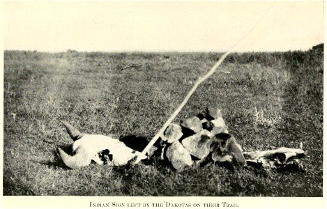 Sign left by the Lakota (Dakota) Indians during the Great Sioux War in 1876. Arikara Indian scouts with the U.S. Army thought the skull of the Buffalo bull represented the Lakotas and the smaller skul photo