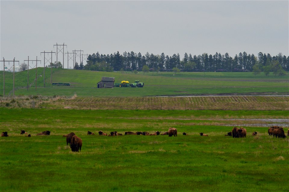 Scenery and wildlife at Lake Ilo National Wildlife Refuge in North Dakota

Credit: USFWS