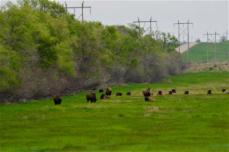 Scenery and wildlife at Lake Ilo National Wildlife Refuge in North Dakota Credit: USFWS photo