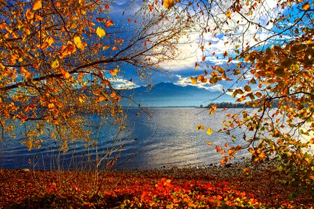 Autumn nature landscape photo