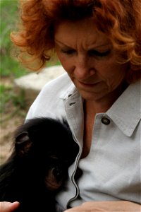 Claudine Andre and a new bonobo