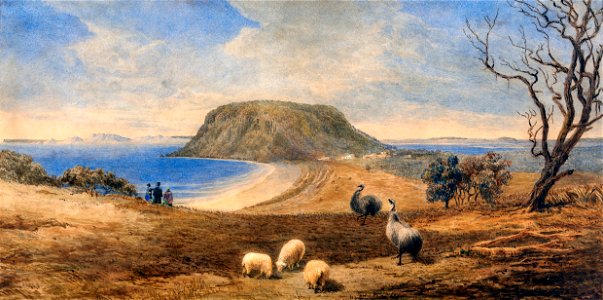 A watercolour by William Porden Kay depicts emus at Stanley during the 1840s.